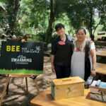 Descubre Bee Matters y protege a las abejas en Yucatán