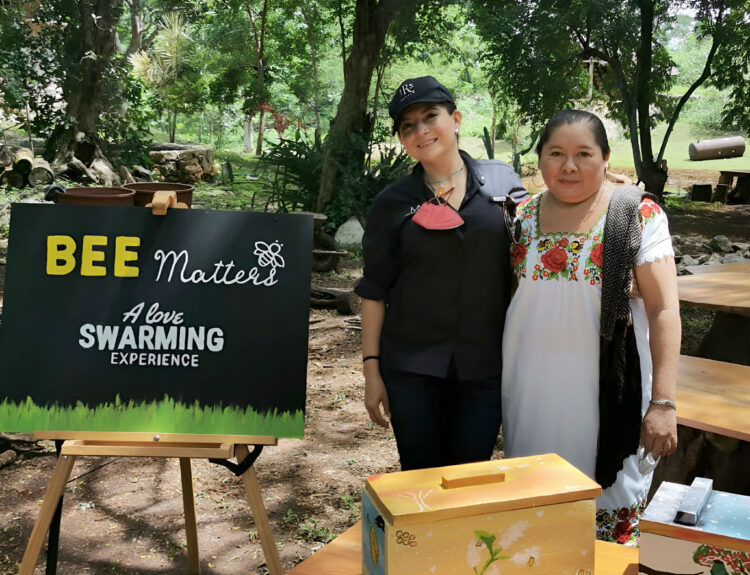 Descubre Bee Matters y protege a las abejas en Yucatán