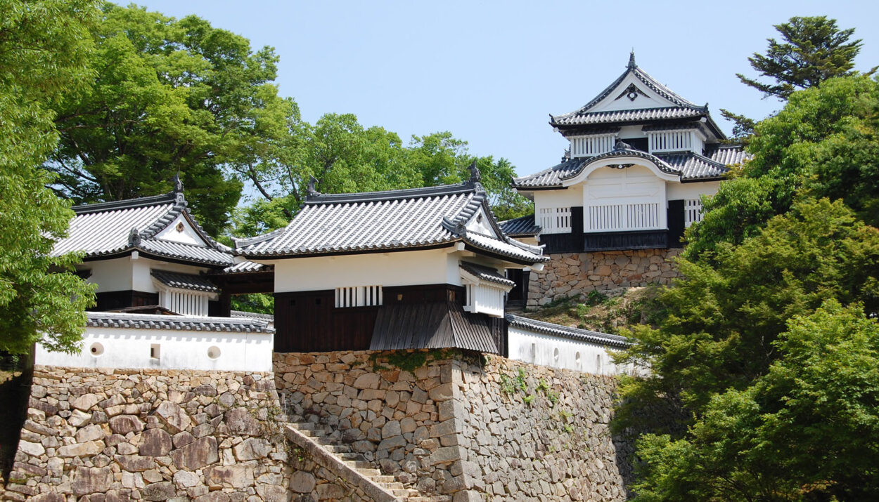 Castillo Bitchu Matsuyama