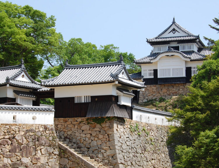 Castillo Bitchu Matsuyama