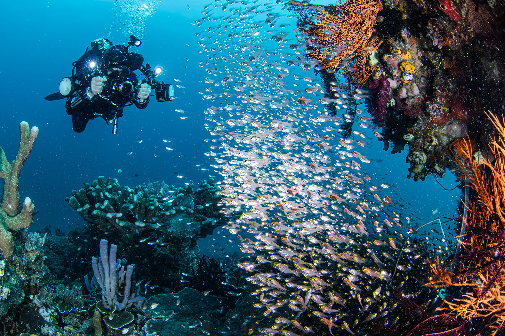 Visit Malaysia 2026: una invitación a vivir la esencia de Asia