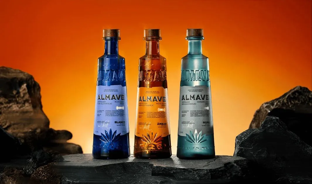 ALMAVE explora el agave